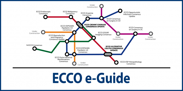 ECCO e-Guide
