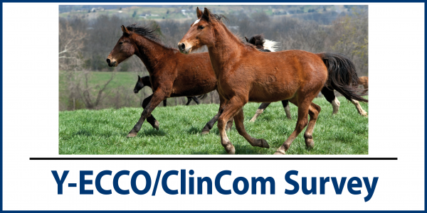 Y-ECCO/ClinCom Survey