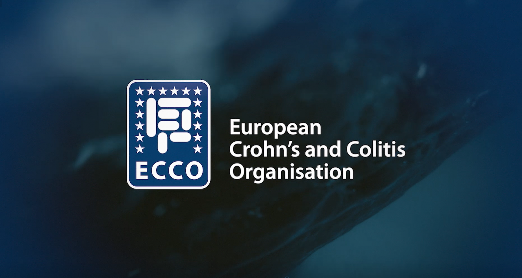 Missed the ECCO'22 opening session?